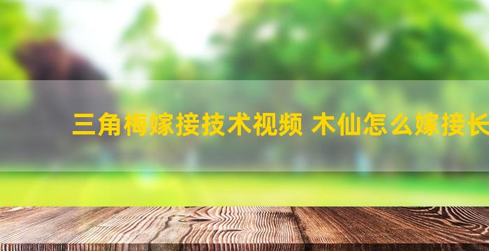 三角梅嫁接技术视频 木仙怎么嫁接长寿花